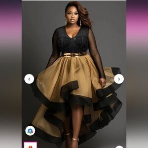 Elegant Black & Gold High-Low Tulle Evening Dress